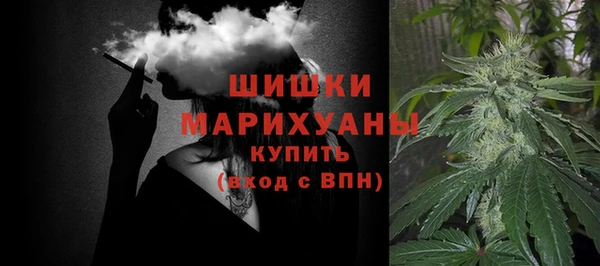 прущие грибы Нязепетровск