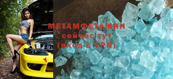 прущие грибы Нязепетровск