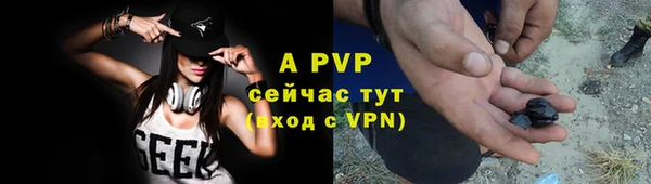 прущие грибы Нязепетровск