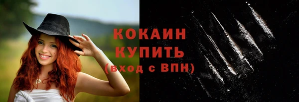 прущие грибы Нязепетровск