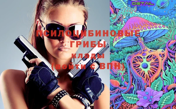 прущие крисы Бежецк