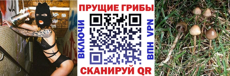 ссылка на мегу онион  закладки  Южно-Сахалинск  Псилоцибиновые грибы Psilocybe 