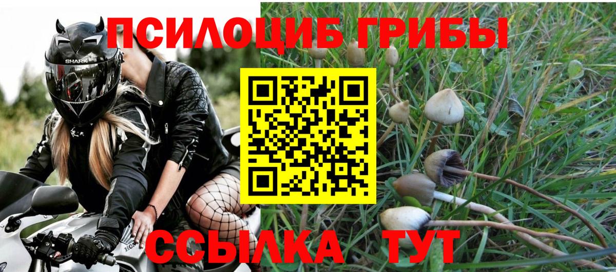 Южно-Сахалинск  Псилоцибиновые грибы Psilocybine cubensis  Вход с VPN 